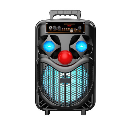 به همراه میکروفن ndr-p66